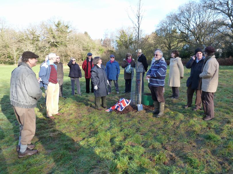 Tree_planting1.jpg