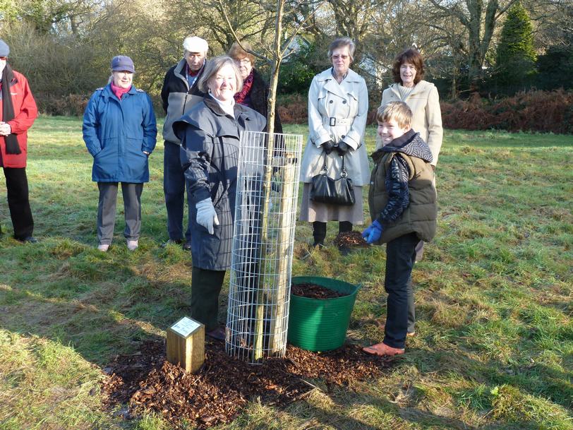 Tree_planting_Tom_Goldring.jpg